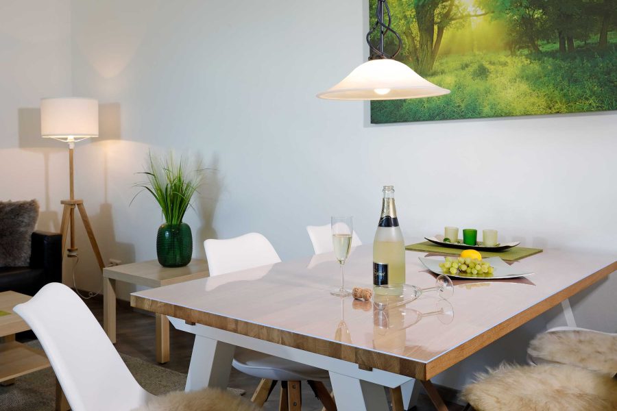 FW Winterberg Arpartment 21119